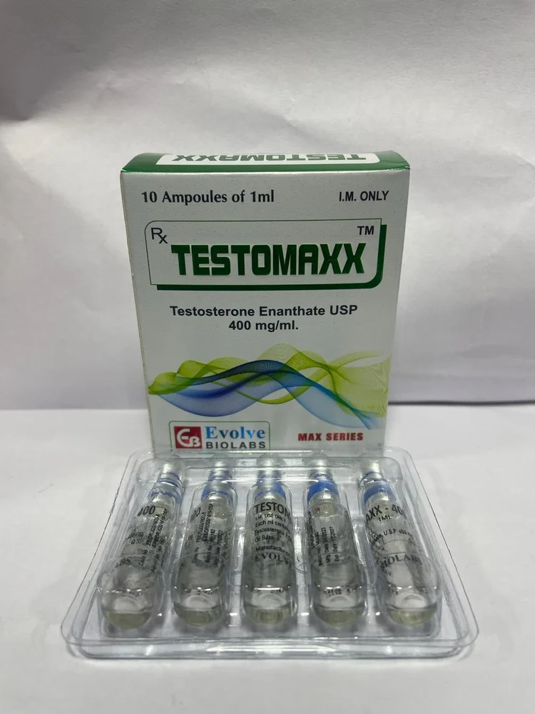 Testomaxx (Ampoules) – Testosterone Mix 400mg/ml — Testosterone Mix 400mg/ml